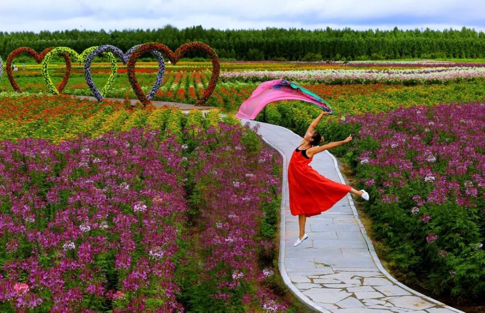 宝泉岭 藏在农场里的花海田园
