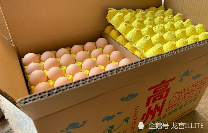 蛋鸡|同样是养蛋鸡，为什么你的养殖成本比别人高？