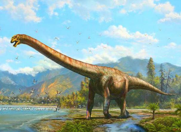 为什么现在的动物不如恐龙那样巨大 我们认为的原因一直是错的 恐龙 地球 蓝鲸 昆虫