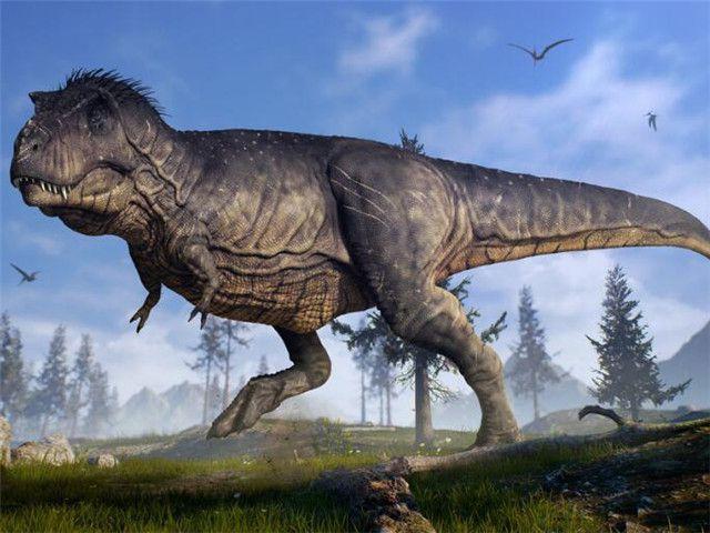 为什么现在的动物不如恐龙那样巨大 我们认为的原因一直是错的 恐龙 地球 蓝鲸 昆虫