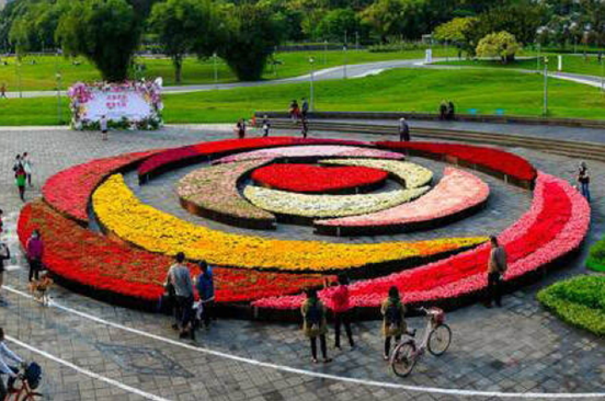 新冠肺炎对台湾花卉业的影响 腾讯新闻