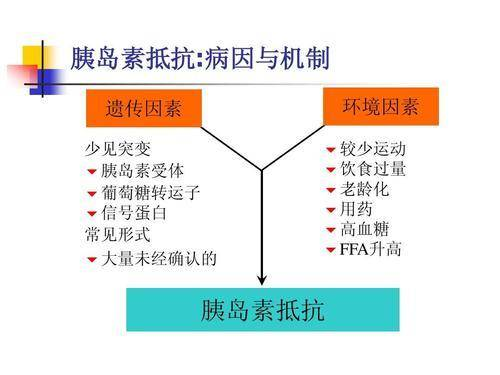 高血糖就要用胰岛素么先看看是否有胰岛素抵抗