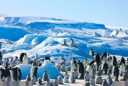 摄氏度|南极“不冻湖”，永不结冰至今无法解释，有人推测是外星基地
