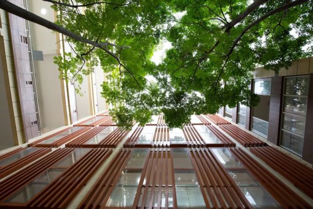 杨行中学修缮改造已如期完成华二高中宝山校区将喜迎新生