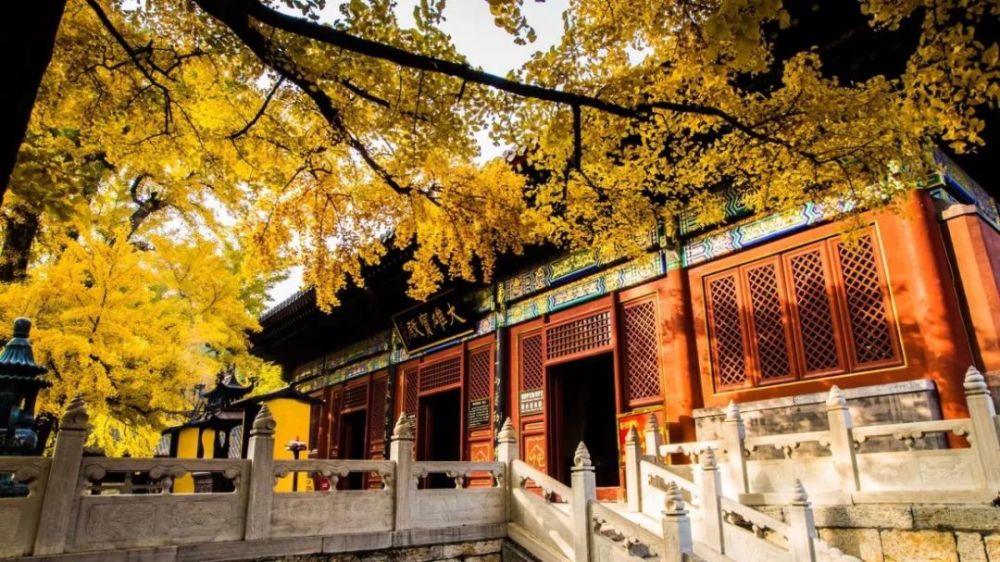 蟒山国家森林公园|9月底开通昌平人方便了，坐这趟超美列车去旅行吧！