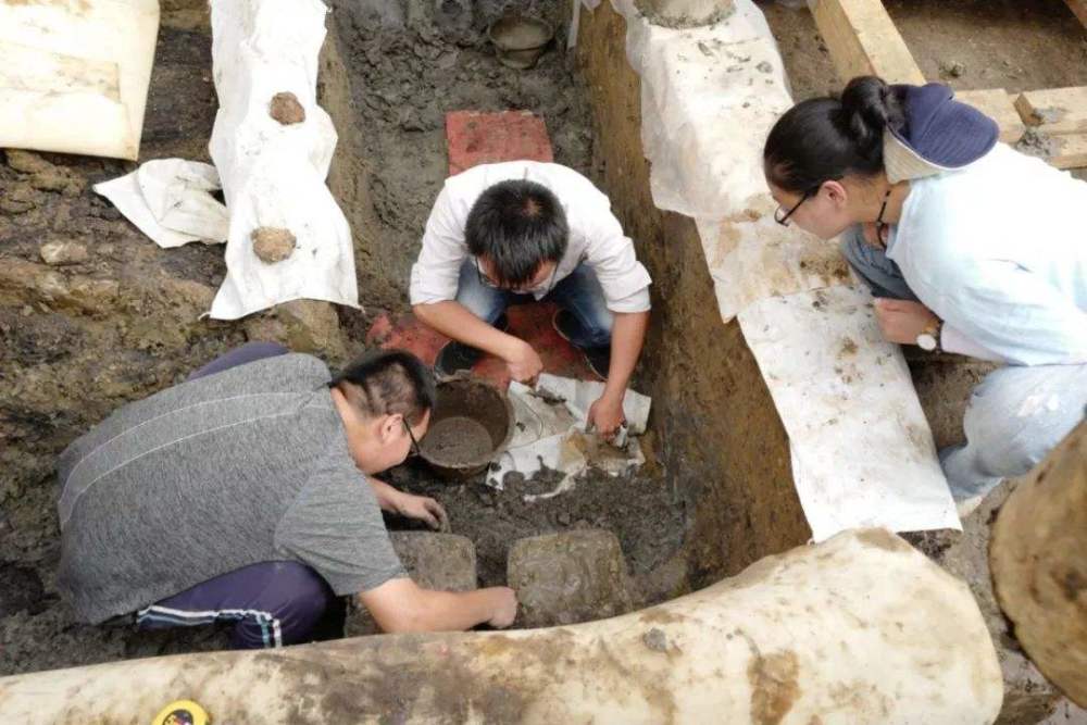 考古学|考古剧透：不靠科技仪器，考古人如何判断墓葬年代和墓主族属？