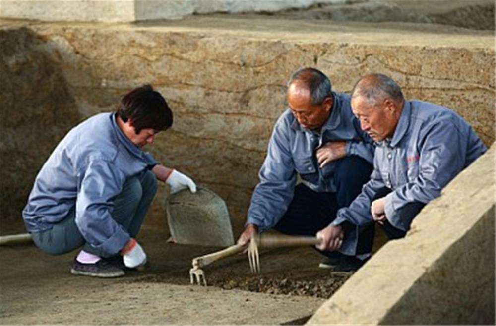 考古学|考古剧透：不靠科技仪器，考古人如何判断墓葬年代和墓主族属？