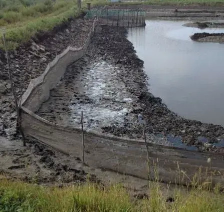 养殖池底防黑化的最全的有效办法看完的都收藏了