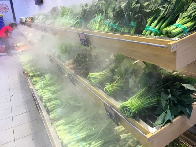 保鲜技术帮你忙,想了解吗?