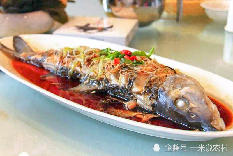 卖价是鲫鱼的6倍俗称虫虫鱼都说好吃却少有人见过