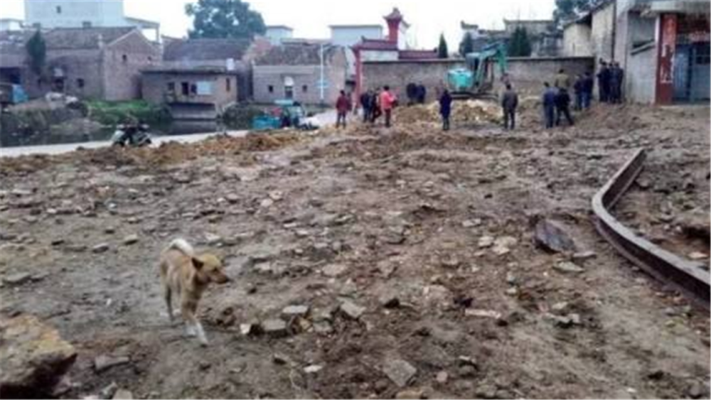 河北|1999年，河北老宅改造挖出大量银元，后人前来讨要为何被拒？