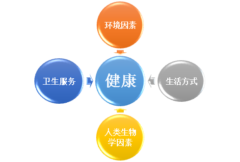 大健康教育专栏