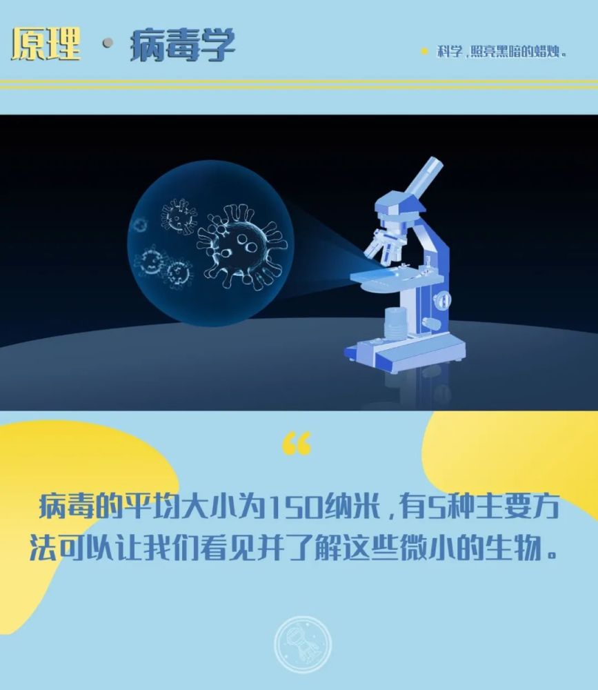 病毒|5种看见病毒的方法