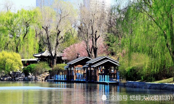 北京|北京有个竹子王国，被称童话世界，荷叶田田，俨然一个伊甸园！