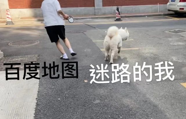 但这话已经勾不起路痴的焦虑了,他们压根没听导航说过"您已到达目的地