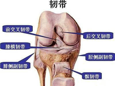 膝关节|韧带撕裂最好的治疗方法