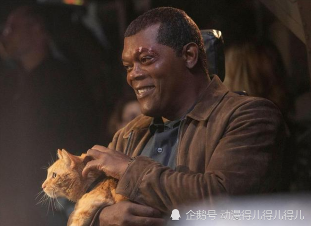 鸭子讲英语，橘猫胃口大！漫威旗下最厉害的5只动物英雄，外表呆萌实力 