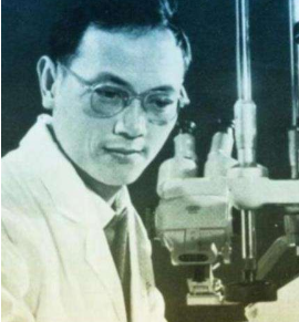 彭加木|罗布泊惊现复制人？揭秘双鱼玉佩神秘事件！