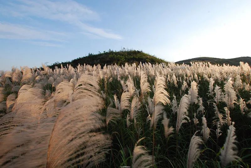 名胜古迹卢峰山