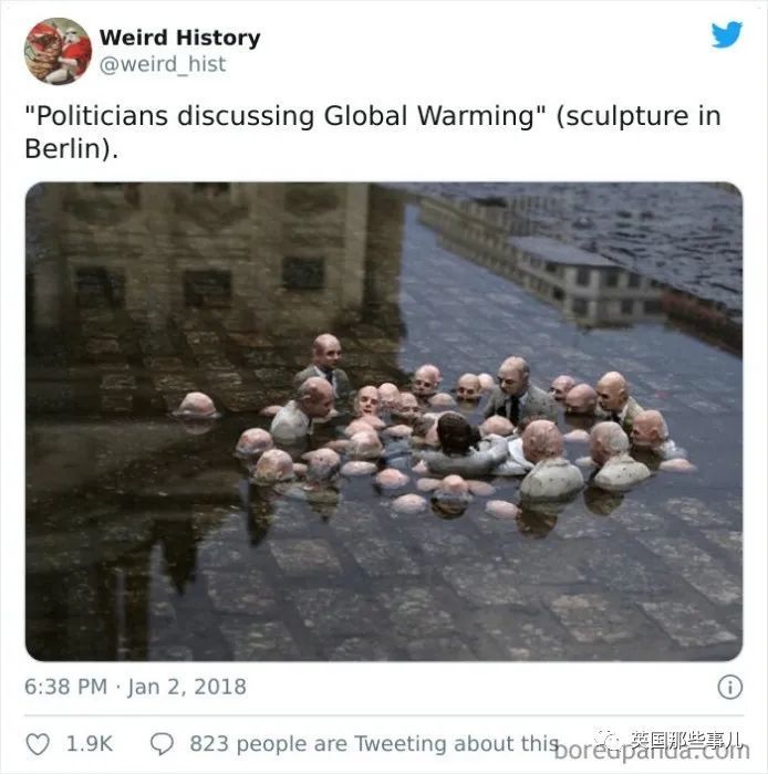 英国|“牛油果”的命名竟是长得像〇〇？这些冷知识也太奇妙了吧！