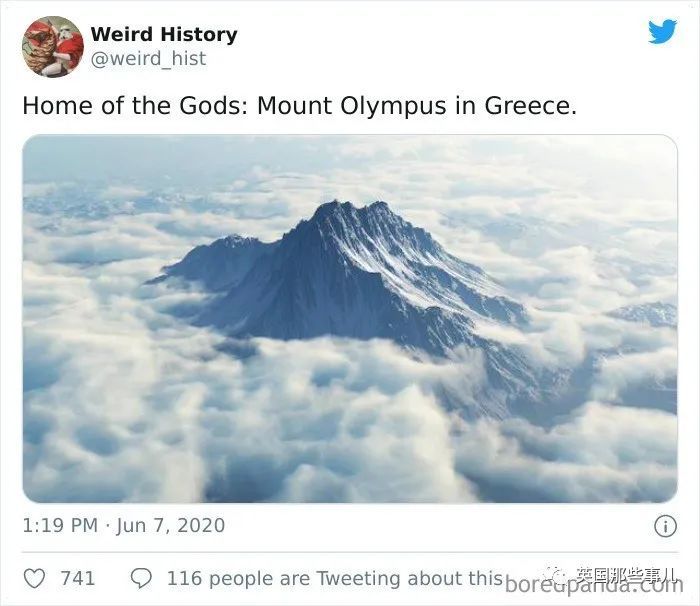 英国|“牛油果”的命名竟是长得像〇〇？这些冷知识也太奇妙了吧！
