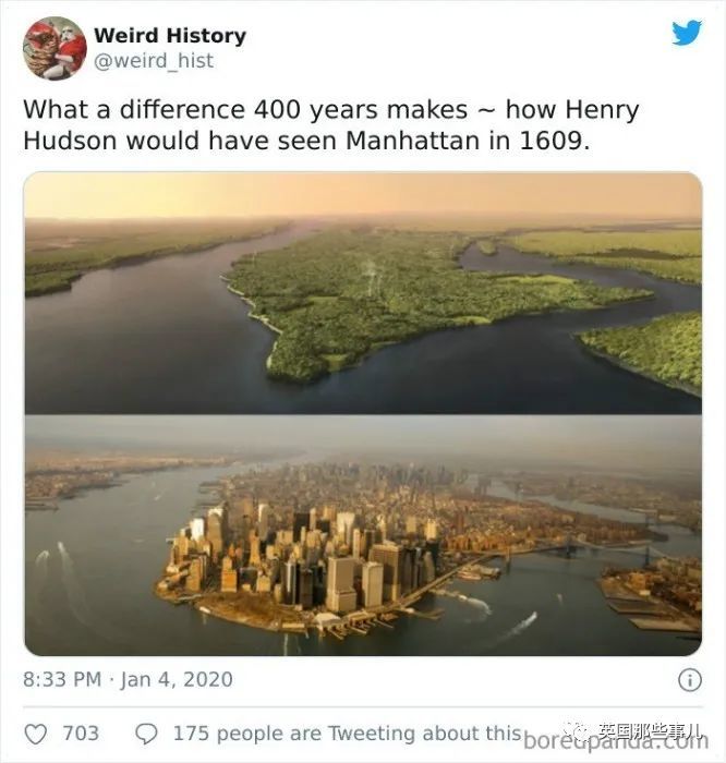英国|“牛油果”的命名竟是长得像〇〇？这些冷知识也太奇妙了吧！