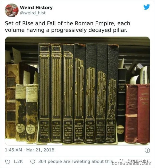 英国|“牛油果”的命名竟是长得像〇〇？这些冷知识也太奇妙了吧！