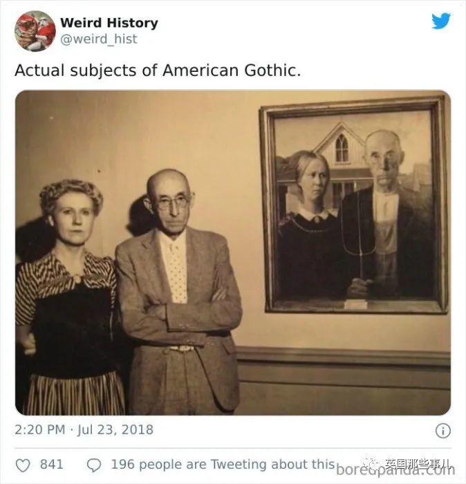 英国|“牛油果”的命名竟是长得像〇〇？这些冷知识也太奇妙了吧！