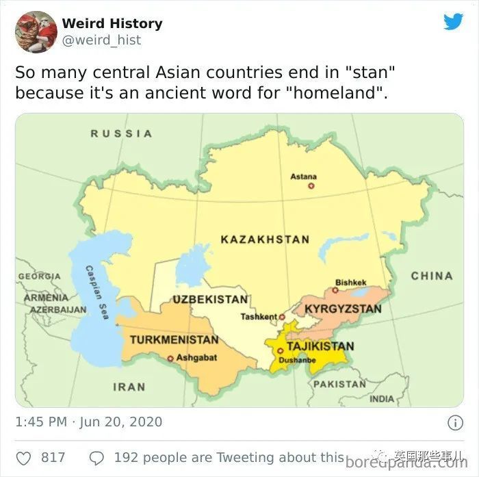 英国|“牛油果”的命名竟是长得像〇〇？这些冷知识也太奇妙了吧！