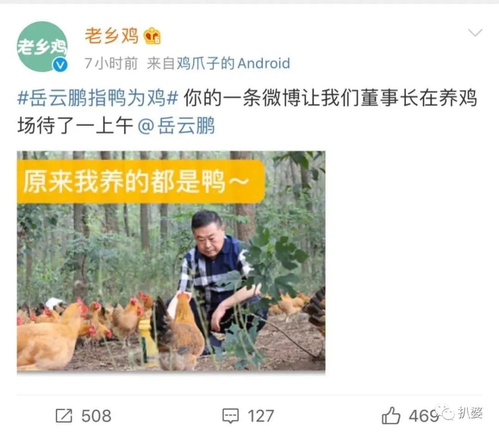 岳云鹏|岳云鹏被全民喊话？