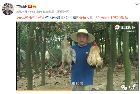 岳云鹏|岳云鹏被全民喊话？