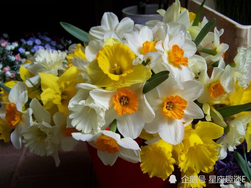 8月29日星座运势 白羊充满斗志 天秤好奇心强 射手积极主动 腾讯新闻