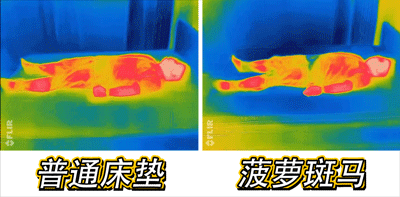 床垫|枕头|宋冰|棕垫