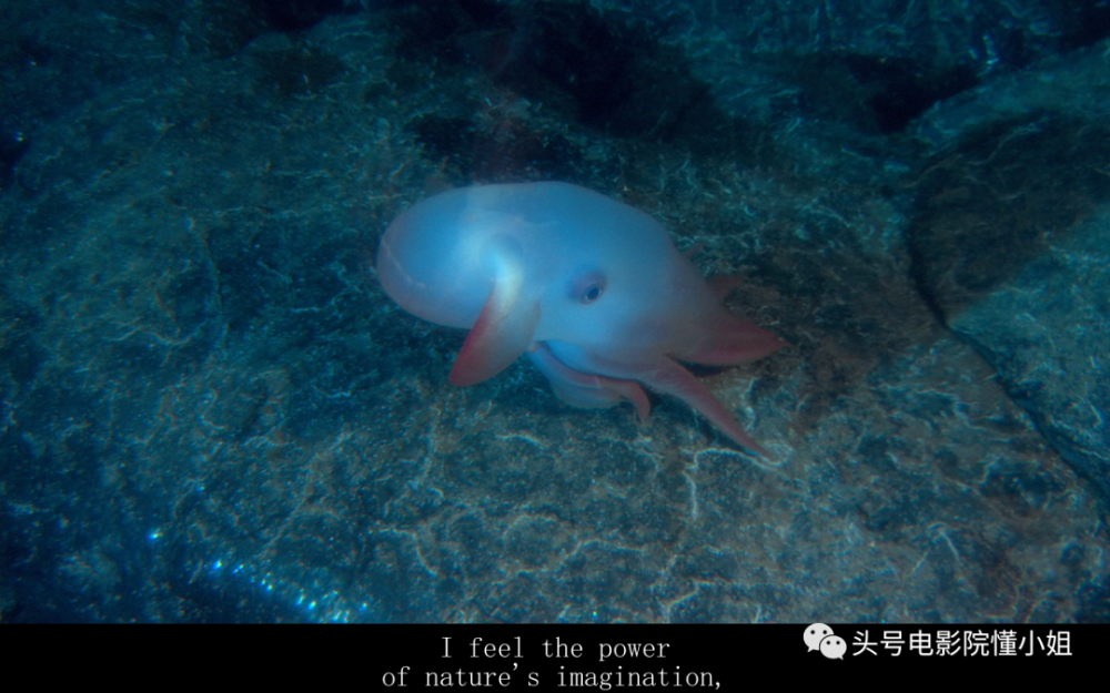 詹姆斯·卡梅隆|《阿凡达》续集如何了？最后一部要等8年，导演卡梅隆那时74岁