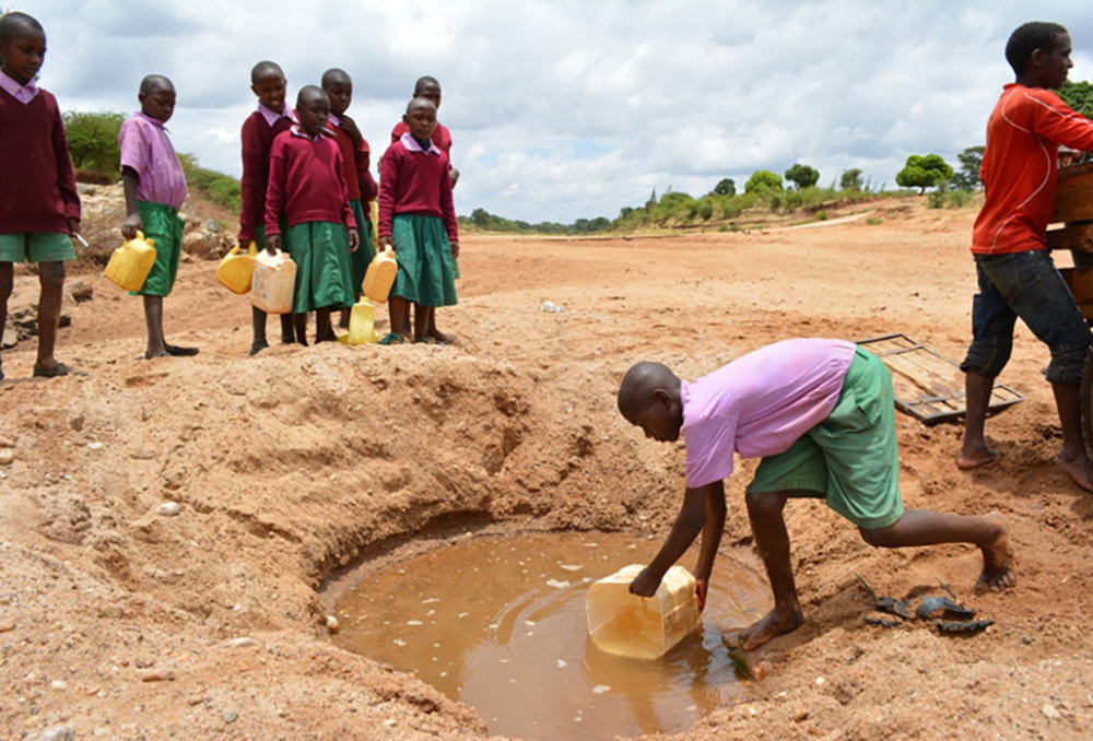 地球|为什么人类喝水需要过滤，而动物都能直接喝脏水？