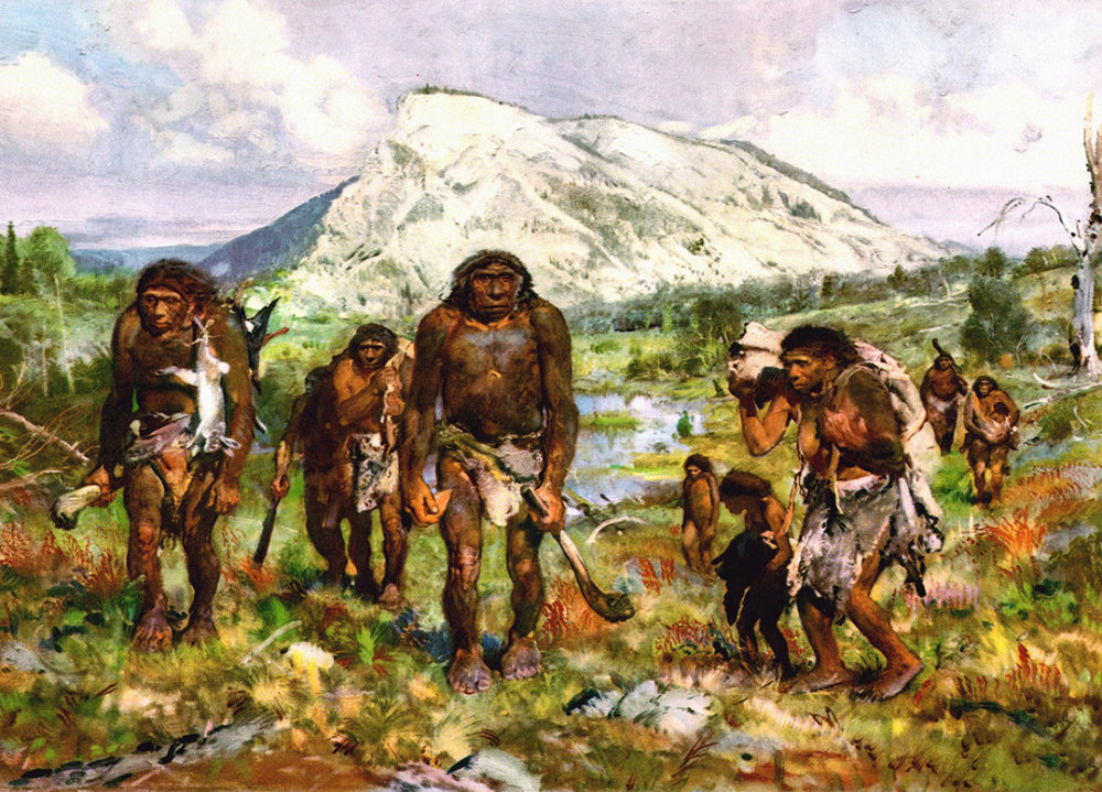 地球|为什么人类喝水需要过滤，而动物都能直接喝脏水？