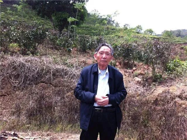 中国科学院院士|又一巨星陨落！今年，已有24位院士离开了我们……