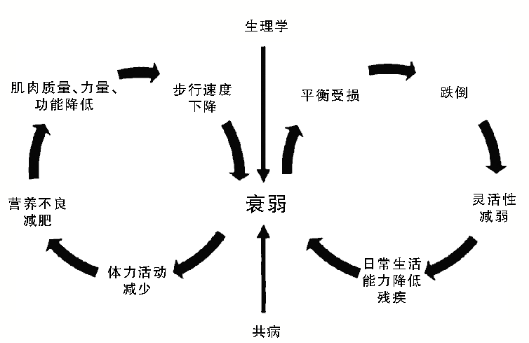 澳大利亚莫纳什大学|老年人衰弱可逆转，这两样是治疗关键！