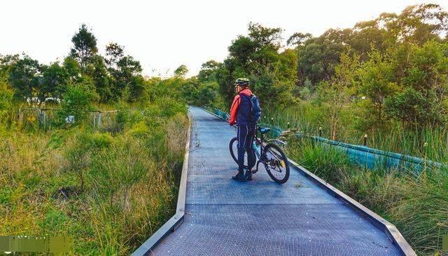 灵签占卜:你最想在哪一条绿道骑行?测你的好运会在什么方向?|绿道|骑