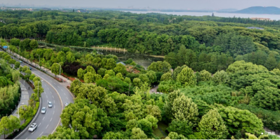 北京|“新国风”作品启领京城 路劲·御合院匠心品质再造新人居