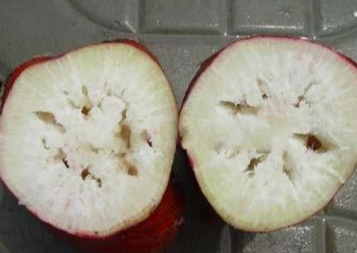 萝卜|今年种萝卜，避免萝卜出现空心和糠心，这些措施要趁早学会