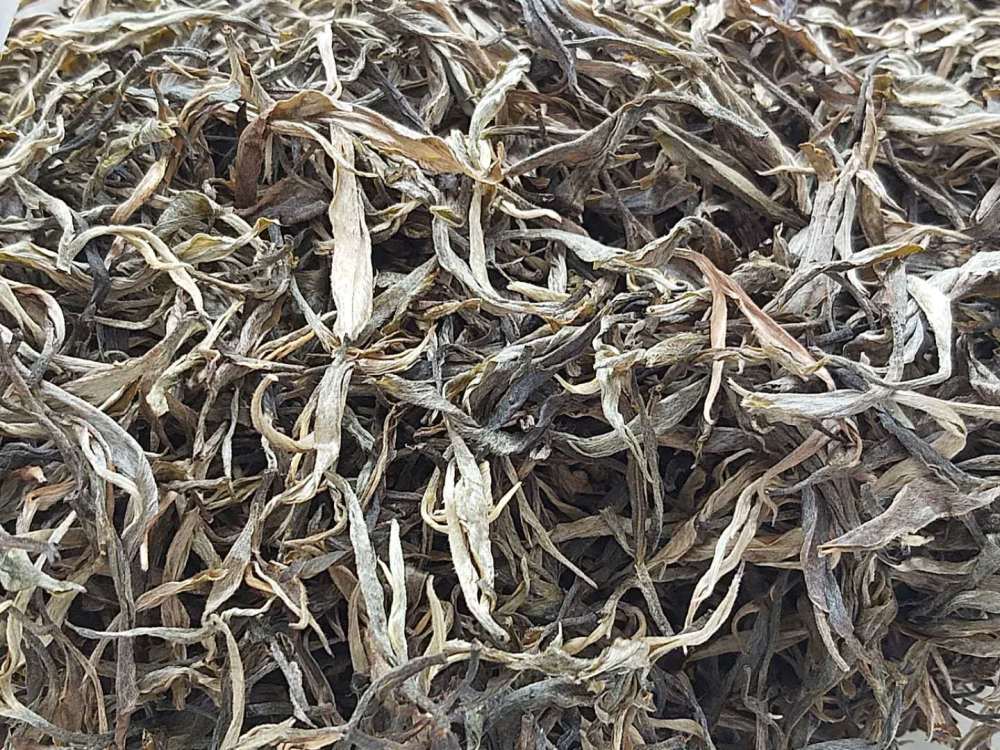 普洱谷花茶:哪有秋後稻開花?只見茶葉谷花香