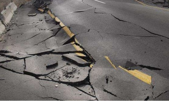 地震|动物果然能预知地震！科学家：它们提前20小时感知到地震