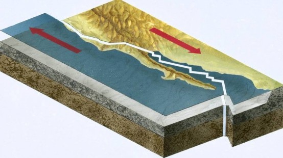 地震|动物果然能预知地震！科学家：它们提前20小时感知到地震