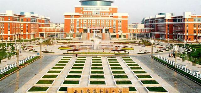 985大学|高考本一批录取结束，4所专业型985大学遇冷？考生对专业有误解所致