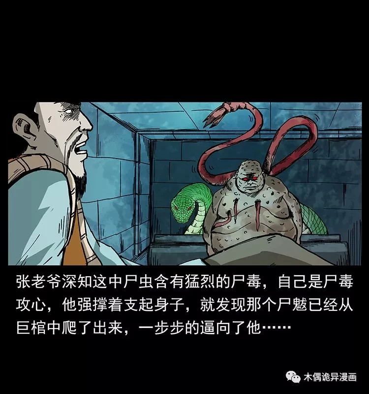 张老爷为民除害,身中尸毒命悬一线,巨蟒恢复神智与尸魃战在一处!