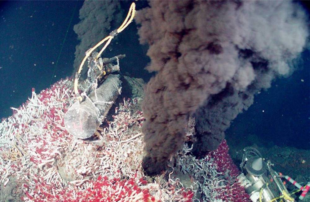 章鱼|章鱼可能不是地球鱼？这是怎么回事？