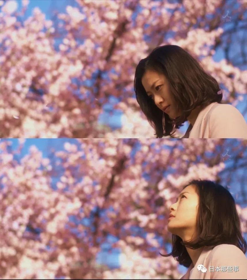 荣仓奈奈|他们的二胎宝宝要来啦！