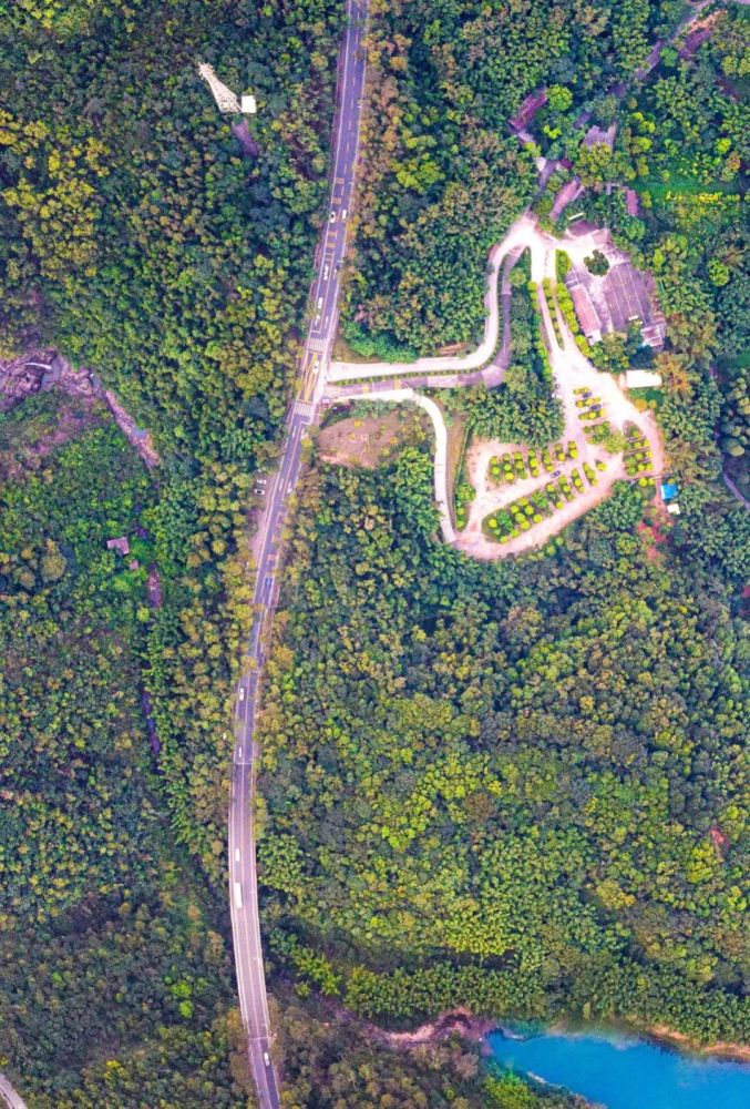 中山最美公路,你走过吗?