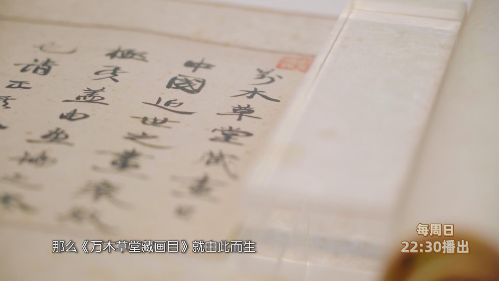 行进大湾区|访西樵山，学咏春拳，《行进大湾区》第四期走进佛山南海